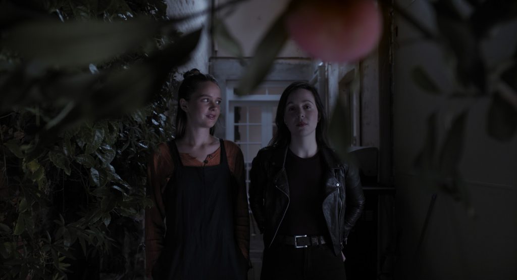 F432E78B-6CD0-46C3-B85B-3211397DA6AC