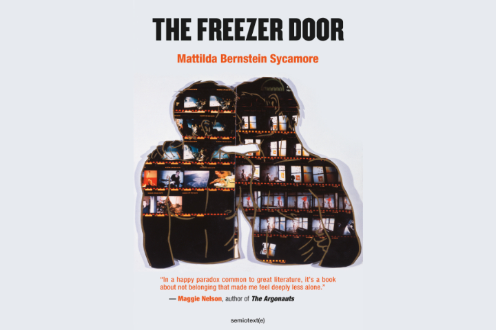 The Freezer Door By Mattilda Bernstein Sycamore
