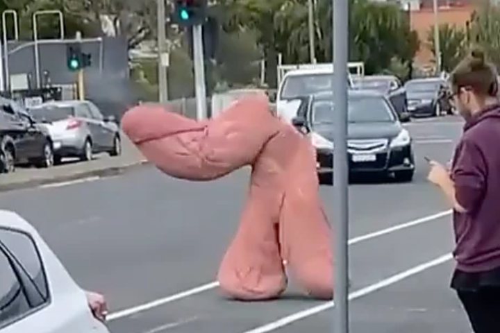 6ft Tall Penis Spotted Galavanting Around Melbourne