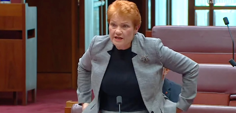Pauline Hanson Rails In Parliament Against ‘Alphabet People’ Over Book Bans