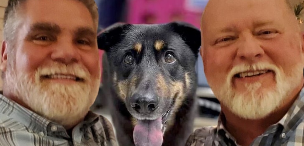 ‘Gay’ Dog Dumped At Animal Shelter Is Adopted By Gay Couple
