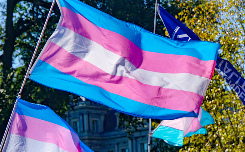 Arizona Legislature Passes Two Anti-Trans Bills