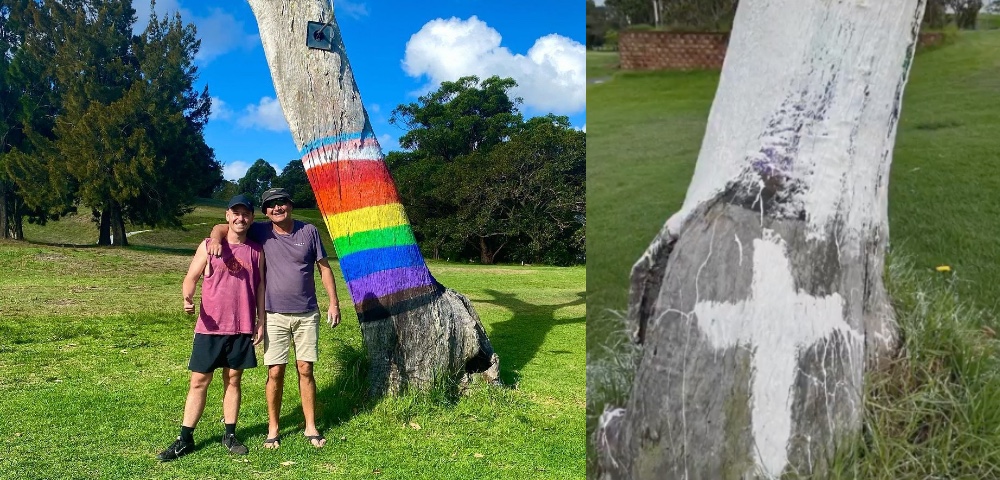 Rainbow Pride Tree In Inner West Sydney Vandalised