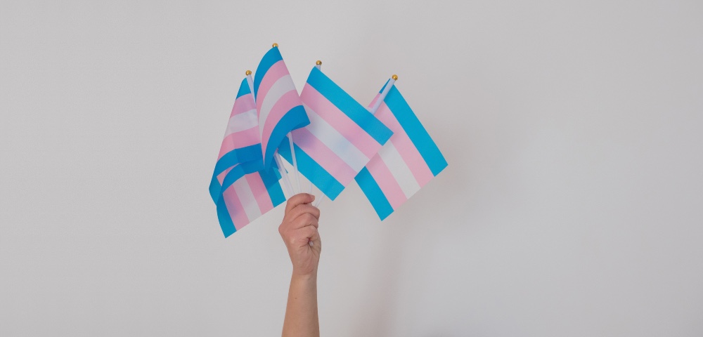 Strong And Proud Trans Communities Leading The Way In Regional NSW