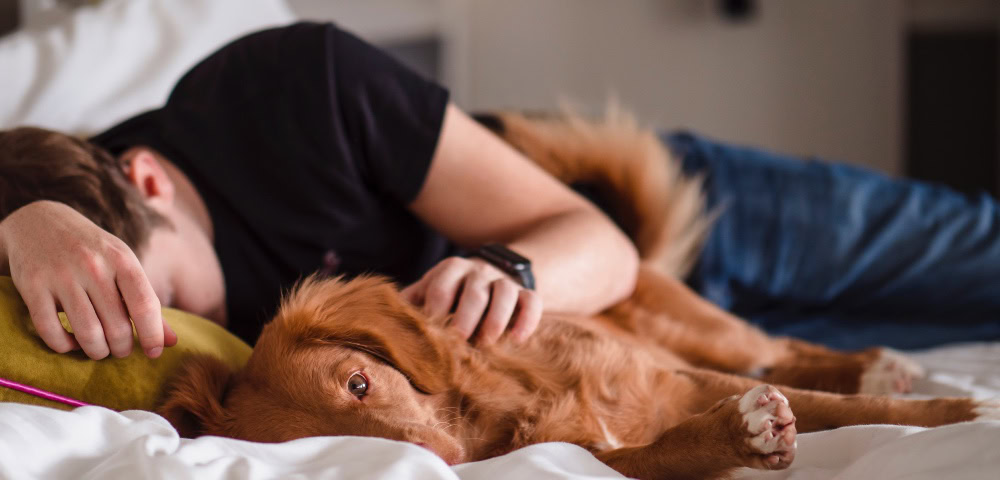 Gay Teenagers More Likely To Have Trouble Sleeping: Study