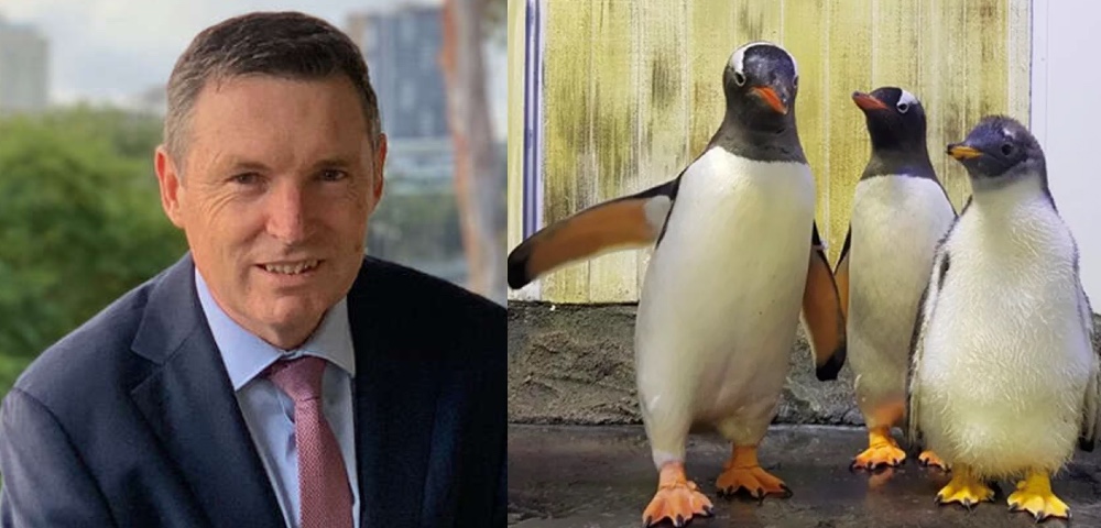 Lyle Shelton’s Family First Party Accuses Sydney’s Gay Penguins Of Faking It
