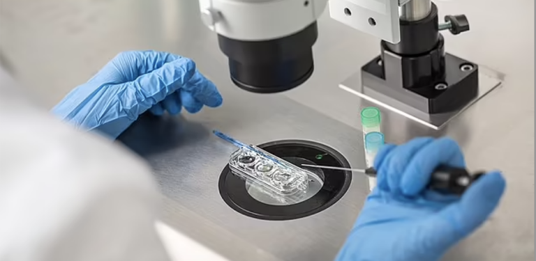 IVF Image_Shutterstock