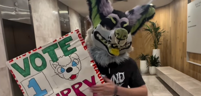 Furry Attack Adelaide