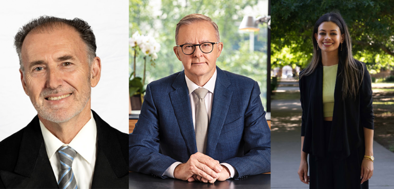 Grayndler Electorate