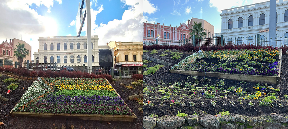 ‘Malicious’: Ballarat’s Beloved Floral Pride Flag Vandalised During Pride Month Celebrations