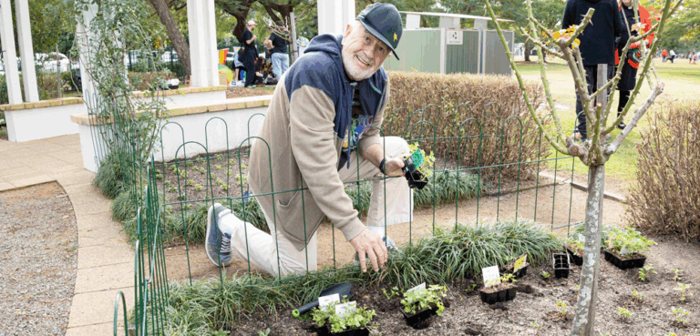 Brisbane Pride Memorial Garden