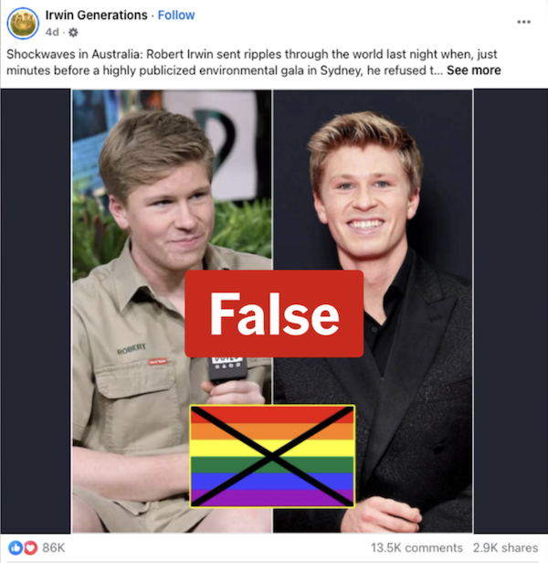 Robert Irwin Fake