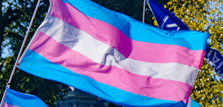 Trans flag Image - Ted Eytan