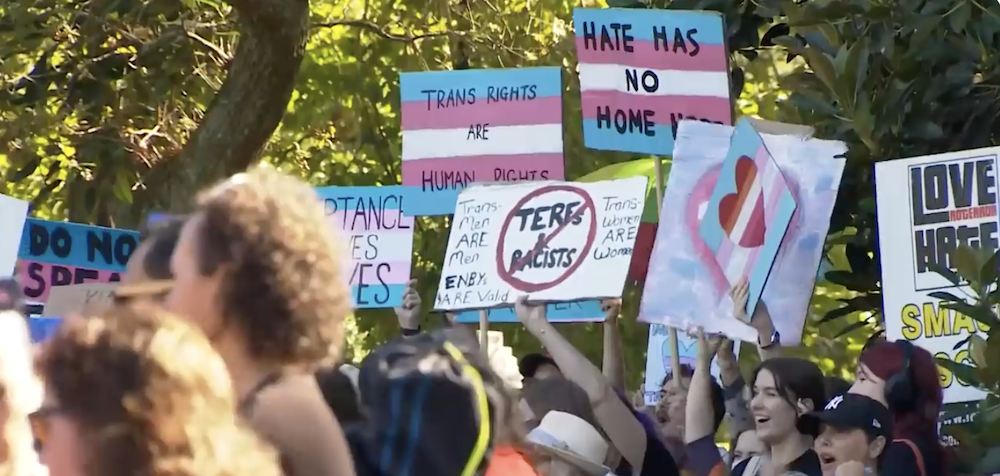 New Zealand Bans Puberty Blockers For Transgender Youth