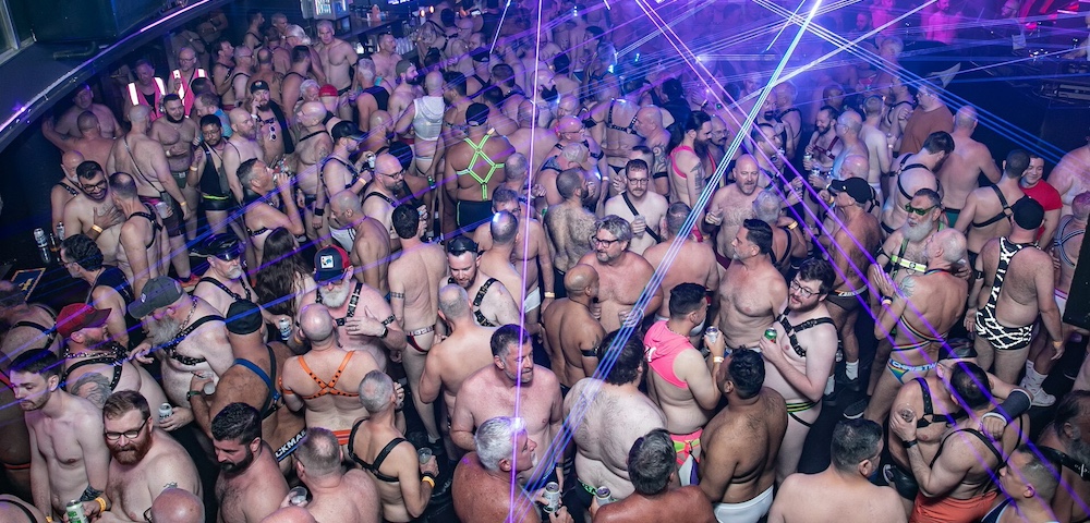 30, Furry & Thriving: Three Decades Of Bears At Mardi Gras