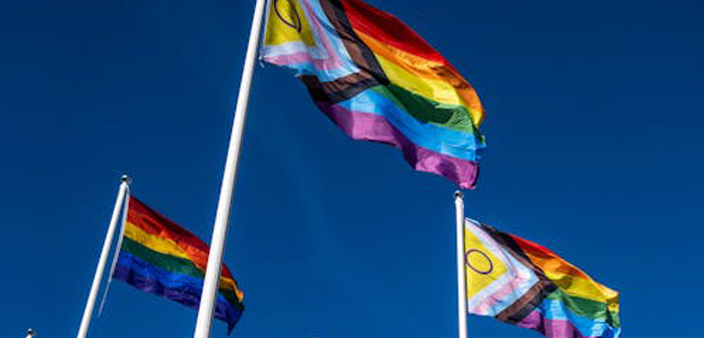 Glenorchy City Council In Tasmania Unveils First LGBTIQA+ Action Plan