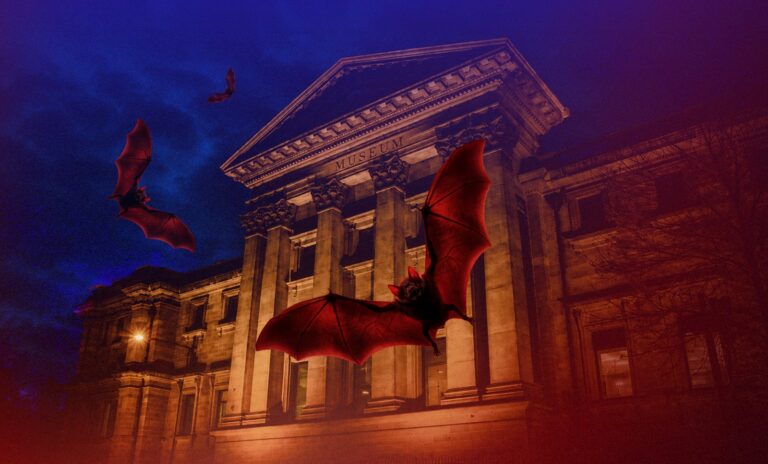 Australian Museum